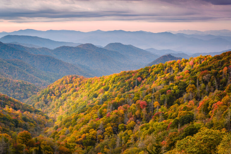 Guide To Great Smoky Mountains National Park - The Campfire Calls