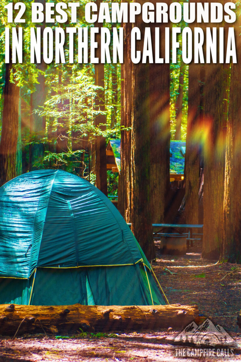 Escape to Nature: Your Guide to Northern California College Campgrounds